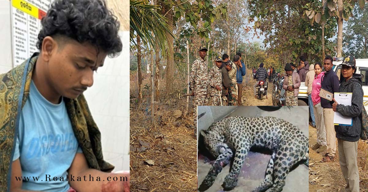 Leopard Dies After Fight With Man in Cuttack-Narsinghpur